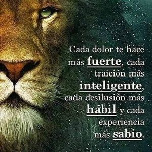 Meet your Posher, Daniela